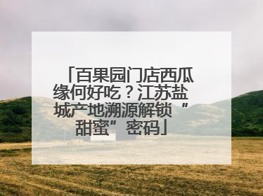 百果园门店西瓜缘何好吃？江苏盐城产地溯源解锁“甜蜜”密码