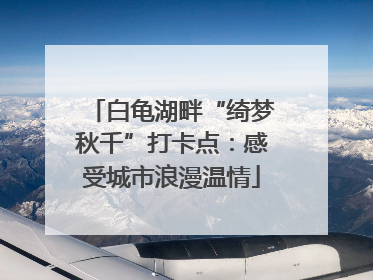 白龟湖畔“绮梦秋千”打卡点：感受城市浪漫温情