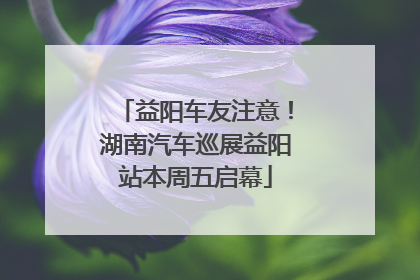 益阳车友注意！湖南汽车巡展益阳站本周五启幕