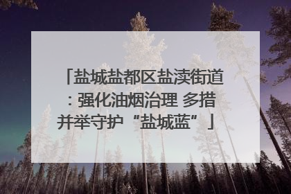 盐城盐都区盐渎街道：强化油烟治理 多措并举守护“盐城蓝”