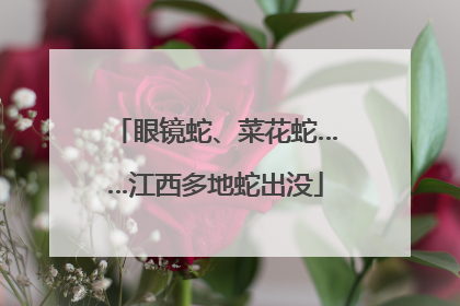 眼镜蛇、菜花蛇……江西多地蛇出没