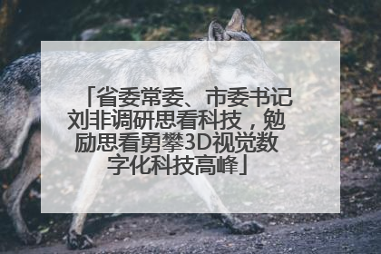 省委常委、市委书记刘非调研思看科技，勉励思看勇攀3D视觉数字化科技高峰