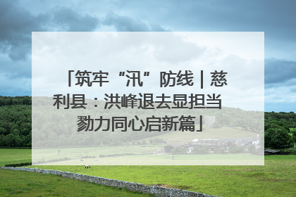 筑牢“汛”防线｜慈利县：洪峰退去显担当 勠力同心启新篇