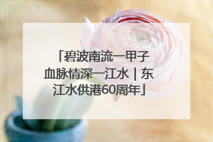 碧波南流一甲子 血脉情深一江水｜东江水供港60周年