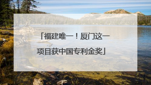 福建唯一！厦门这一项目获中国专利金奖
