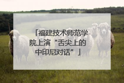 福建技术师范学院上演“舌尖上的中印尼对话”