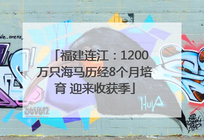 福建连江：1200万只海马历经8个月培育 迎来收获季