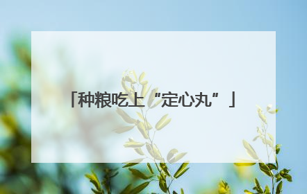 种粮吃上“定心丸”