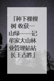 种下棵棵树 收获一山绿——记牟家大山林业管理站站长王占胜