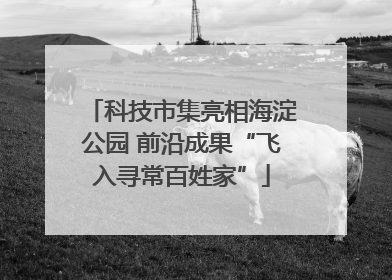 科技市集亮相海淀公园 前沿成果“飞入寻常百姓家”