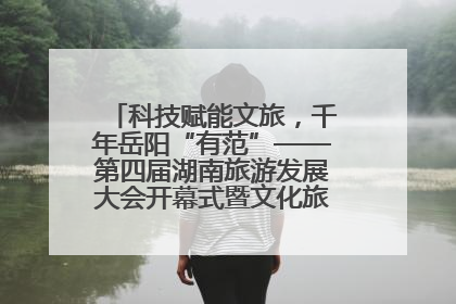 科技赋能文旅，千年岳阳“有范”——第四届湖南旅游发展大会开幕式暨文化旅游推介会侧记