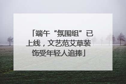 端午“氛围组”已上线，文艺范艾草装饰受年轻人追捧