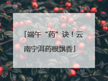 端午“药”诀！云南宁洱药根飘香