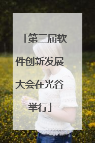 第三届软件创新发展大会在光谷举行