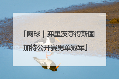 网球｜弗里茨夺得斯图加特公开赛男单冠军