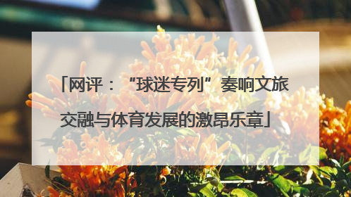 网评：“球迷专列”奏响文旅交融与体育发展的激昂乐章