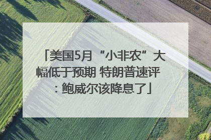 美国5月“小非农”大幅低于预期 特朗普速评：鲍威尔该降息了