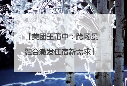 美团王莆中：跨场景融合激发住宿新需求