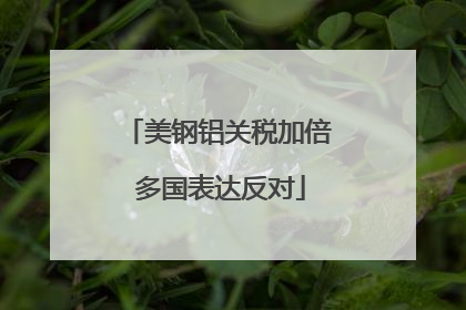 美钢铝关税加倍 多国表达反对