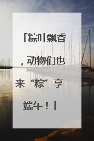粽叶飘香，动物们也来“粽”享端午！
