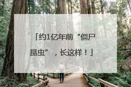 约1亿年前“僵尸昆虫”，长这样！