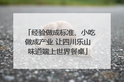 经验做成标准、小吃做成产业 让四川乐山味道端上世界餐桌