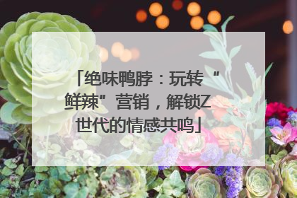 绝味鸭脖：玩转“鲜辣”营销，解锁Z世代的情感共鸣
