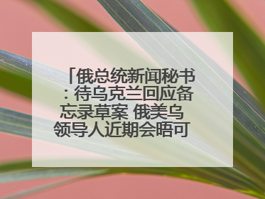 俄总统新闻秘书：待乌克兰回应备忘录草案 俄美乌领导人近期会晤可能性小