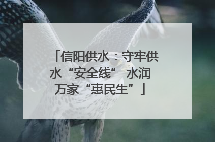信阳供水：守牢供水“安全线” 水润万家“惠民生”