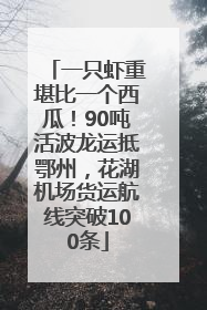 一只虾重堪比一个西瓜！90吨活波龙运抵鄂州，花湖机场货运航线突破100条