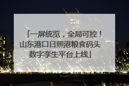 一屏统览，全局可控！山东港口日照港粮食码头数字孪生平台上线