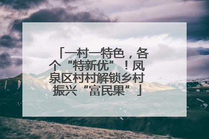 一村一特色，各个“特新优”！凤泉区村村解锁乡村振兴“富民果”