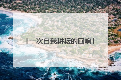 一次自我耕耘的回响