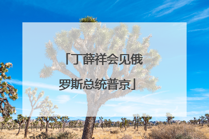 丁薛祥会见俄罗斯总统普京