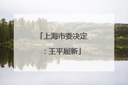 上海市委决定：王平履新