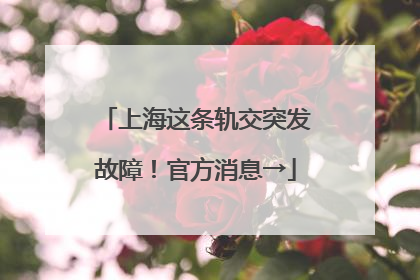上海这条轨交突发故障！官方消息→