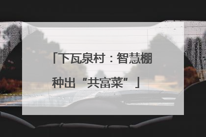下瓦泉村：智慧棚种出“共富菜”