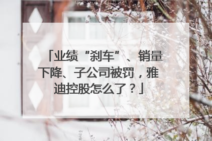 业绩“刹车”、销量下降、子公司被罚，雅迪控股怎么了？