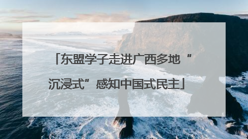 东盟学子走进广西多地“沉浸式”感知中国式民主