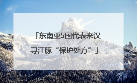 东南亚5国代表来汉寻江豚“保护处方”