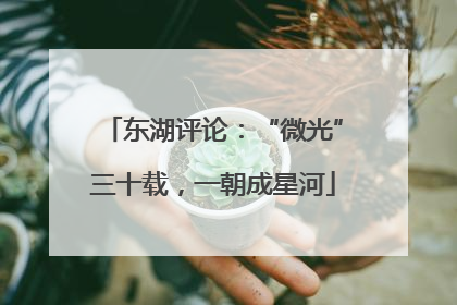 东湖评论：“微光”三十载，一朝成星河