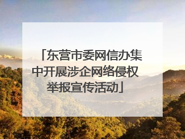 东营市委网信办集中开展涉企网络侵权举报宣传活动