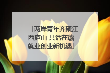 两岸青年齐聚江西庐山 共话在赣就业创业新机遇