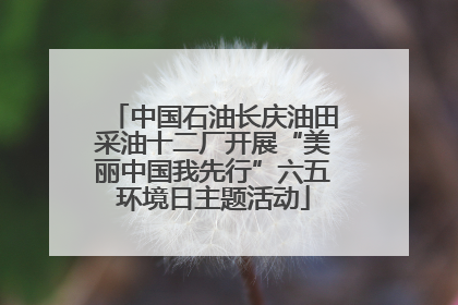 中国石油长庆油田采油十二厂开展“美丽中国我先行”六五环境日主题活动
