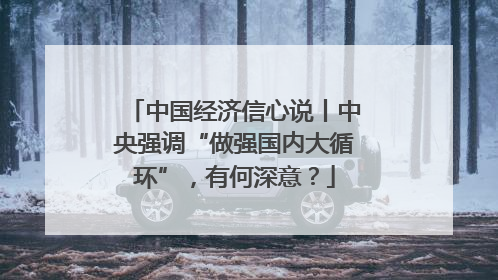 中国经济信心说丨中央强调“做强国内大循环”，有何深意？