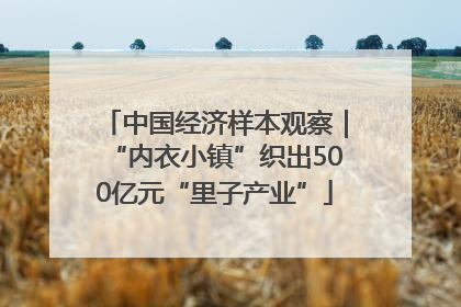 中国经济样本观察｜“内衣小镇”织出500亿元“里子产业”