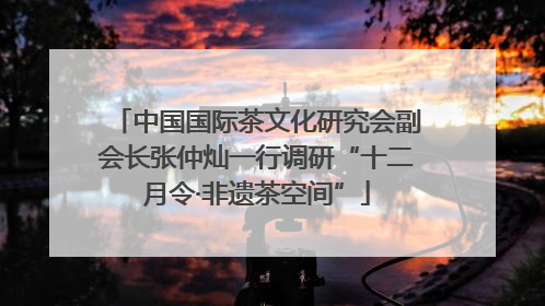 中国国际茶文化研究会副会长张仲灿一行调研“十二月令·非遗茶空间”