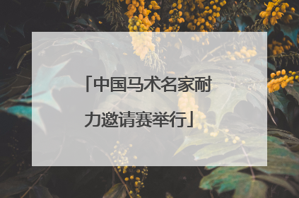 中国马术名家耐力邀请赛举行