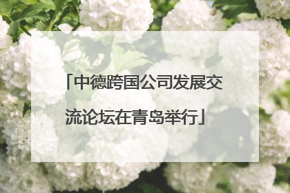 中德跨国公司发展交流论坛在青岛举行
