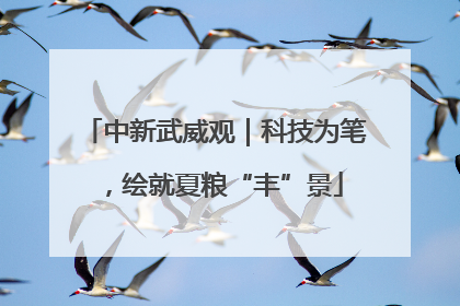 中新武威观｜科技为笔，绘就夏粮“丰”景
